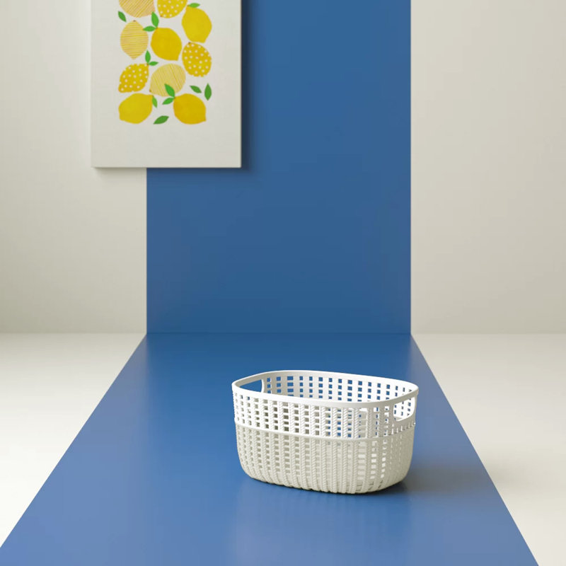 Hashtag Home Decorative Plastic Basket & Reviews Wayfair